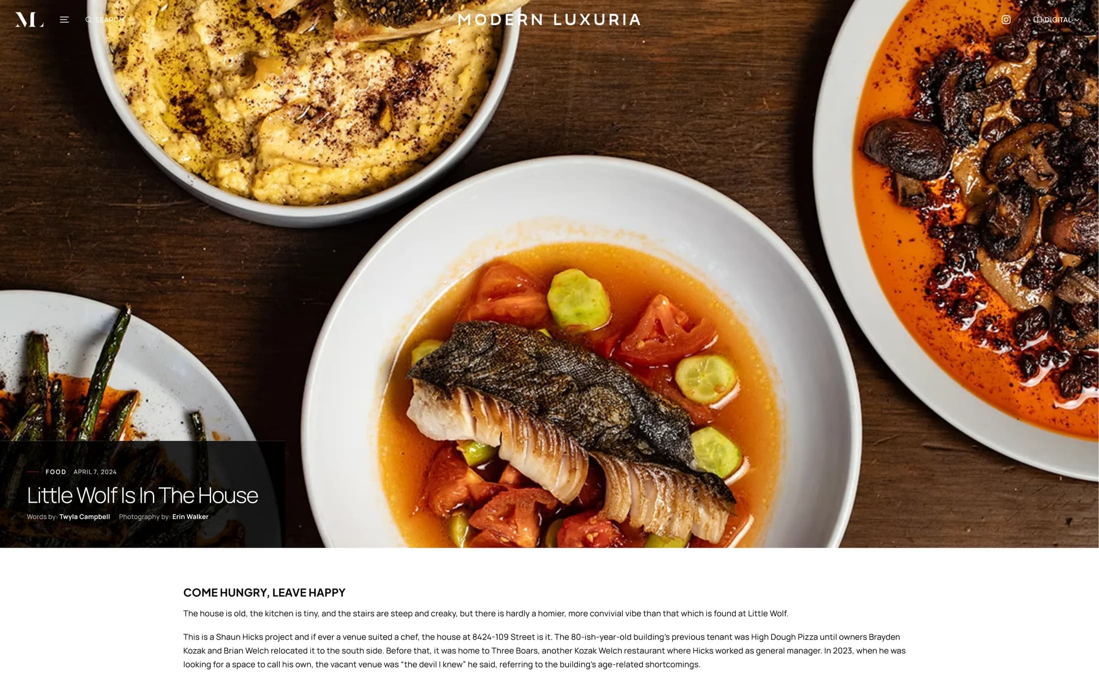 Modern Luxuria article detail with a prominent headline, feature photography, and focused reading layout