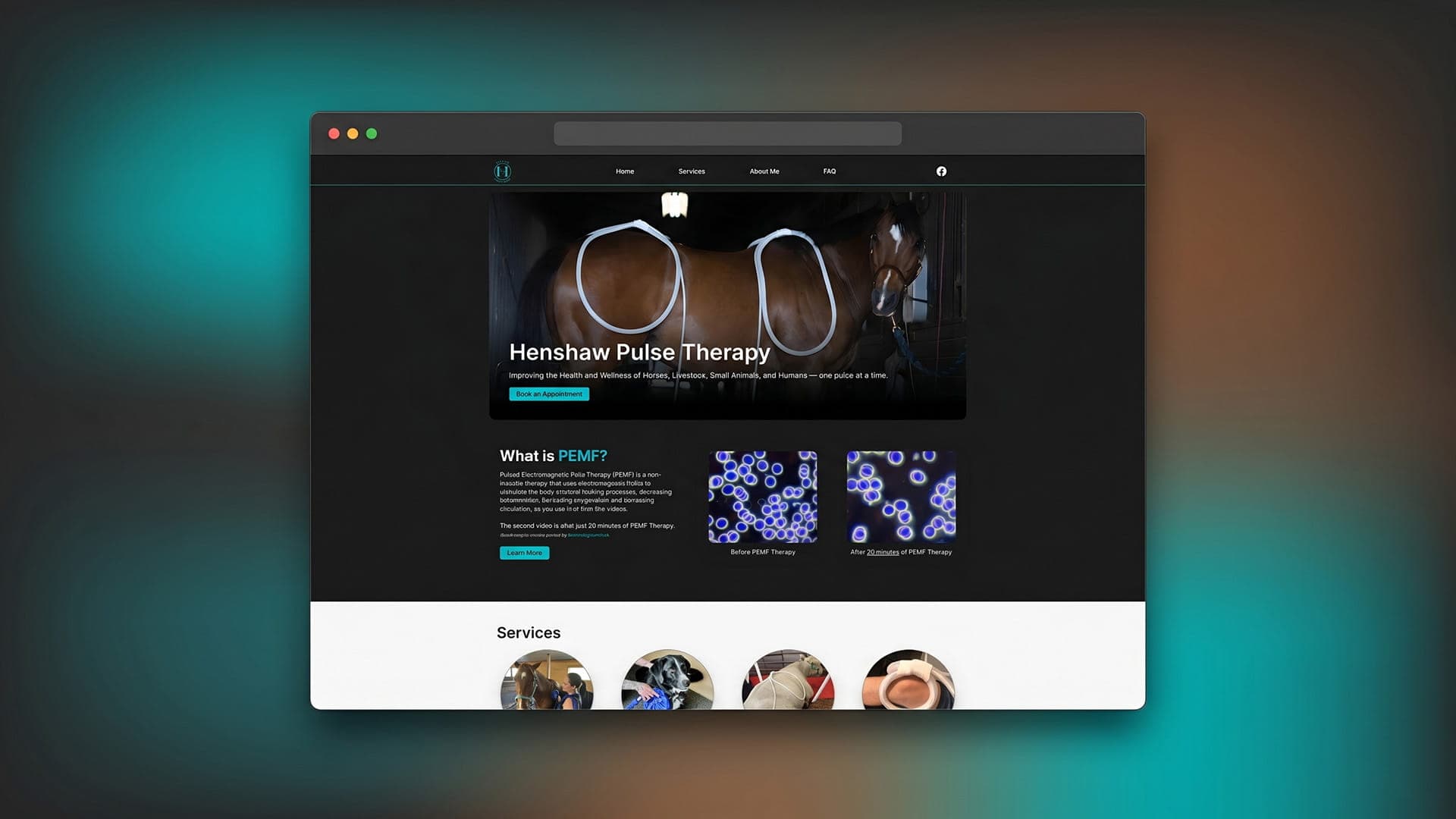 Project Thumbnail for Henshaw Pulse Therapy Website